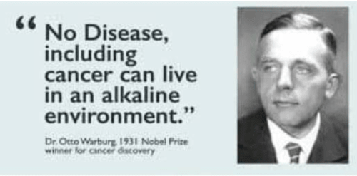 Warburg - Cancer Warburg - Cancer