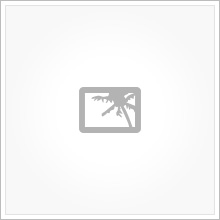 placeholder HPV bivirkningsramte